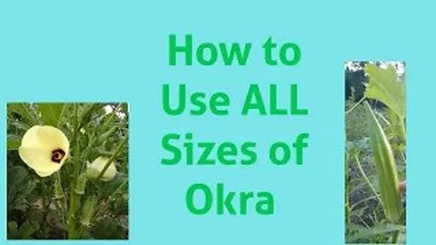 2023: Using the Different Sizes of Okra