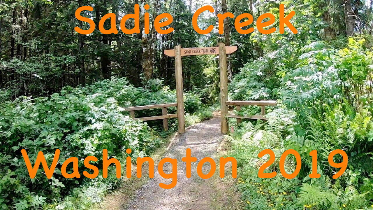 Sadie Creek Trail - Washington 2019