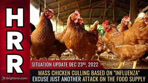 12-23-22 S.U. Mass chicken culling based on influenza excuse just another attack on the FOOD SUPPLY