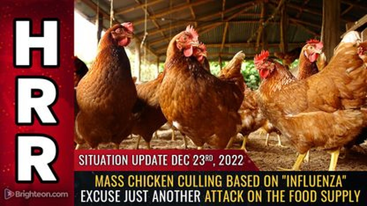 12-23-22 S.U. Mass chicken culling based on influenza excuse just another attack on the FOOD SUPPLY