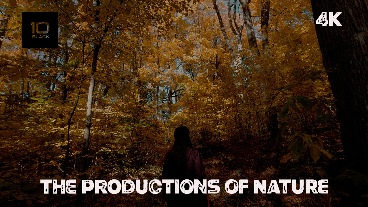 The Productions of Nature - 4k Cinematic visual for meditation