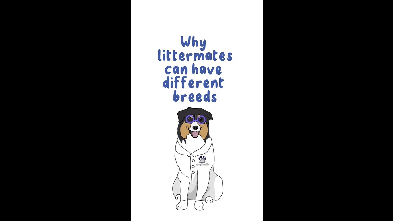 Why your dog is a different breed than his littermates
