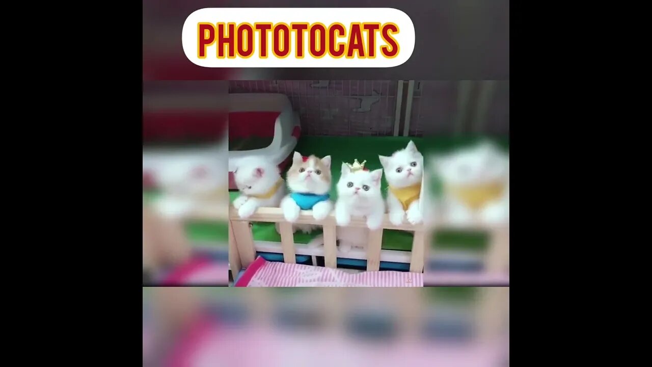 team...