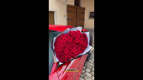 @autoluxconcept @alianzanation