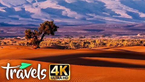 Incredible Natural Africa in 4K - Around the Continent - Travel Film