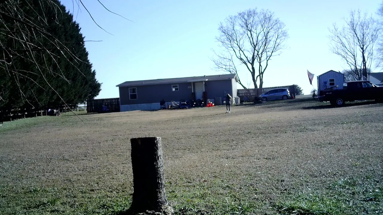 A lot of pickle damage....