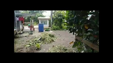 Garden & Clearing.(3)