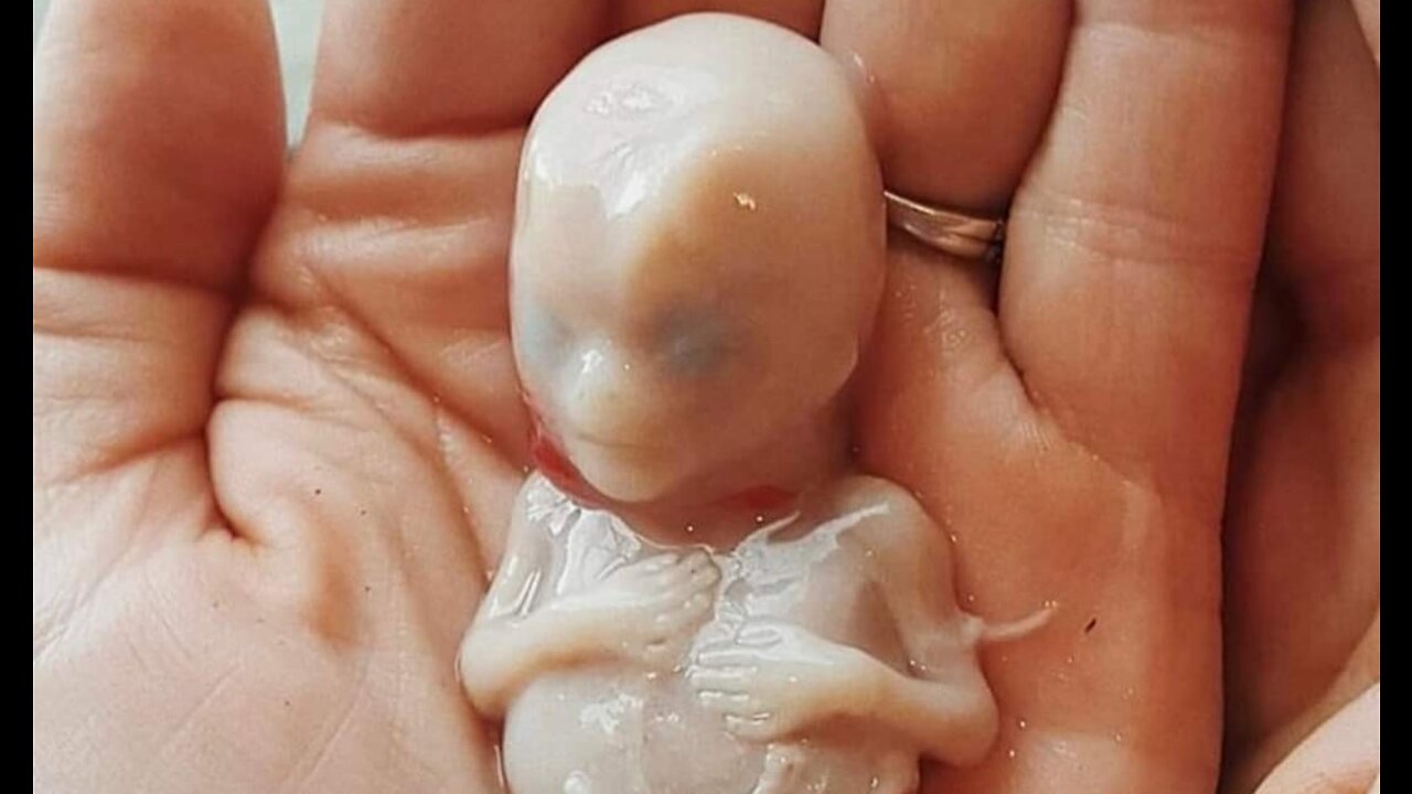 Roe v Wade leaker identified, Nesara in FL, 2000mules fake checkers activated