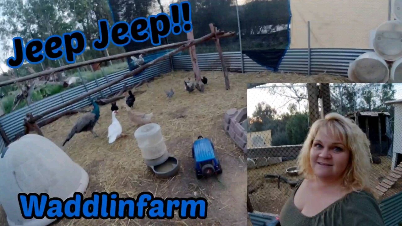 Jeep Jeep