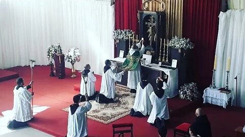 Missa do XII Domingo Depois de Pentecostes - Mosteiro da Santa Cruz