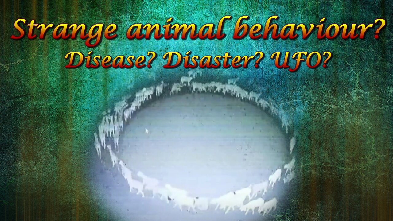 Animals walking in circles. What is going on? Signs of disease, end of time, UFO?