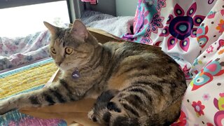 feeling better and moving, sort of