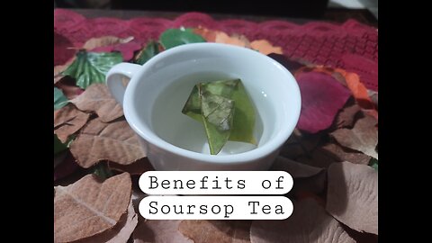 How soursop leaf tea healed me.