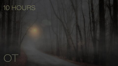 The Trees are Bare | Moody Windy Autumn Night | Relax | Study | Sleep | 10 Hours Outdoor Ambience