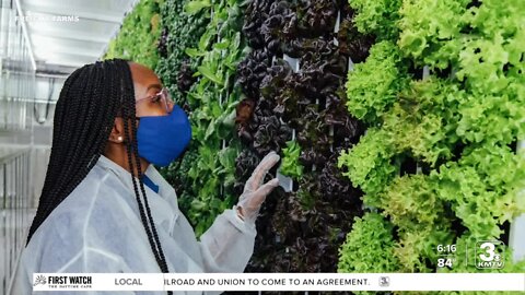 Shipping container turned sustainable farm will host MCC courses, community programming