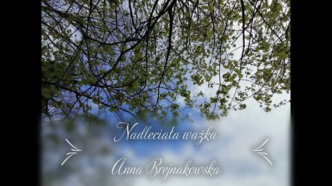 Nadleciała ważka - Anna Brejnakowska