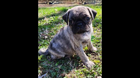 Road Trip to get IVAR (4/15/23)
