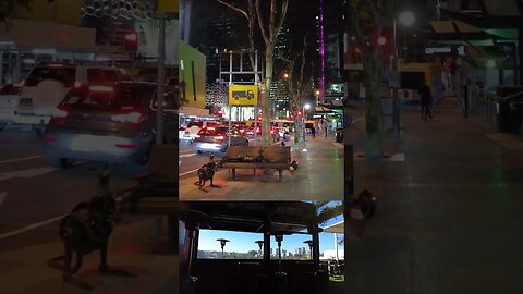 Brisbane City Exploration || QLD - AUSTRALIA