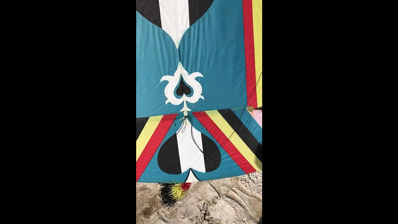 Patang Bazi Kite Flying Patang Video