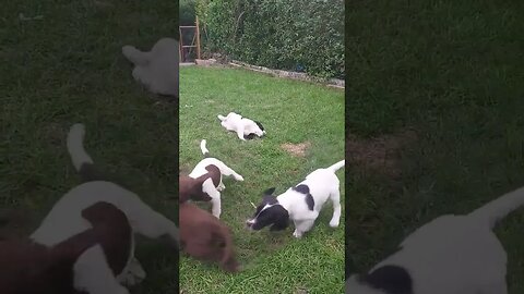 FIGHT