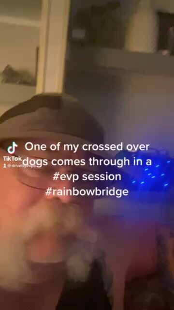 Evp. one of my crossed overdogs comes through in a evp session #rainbowbridge