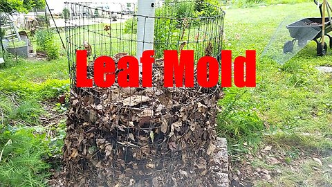 Leaf mold