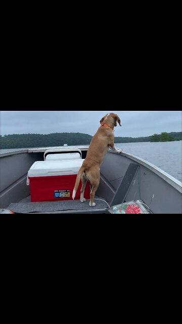 Right away , Great captain