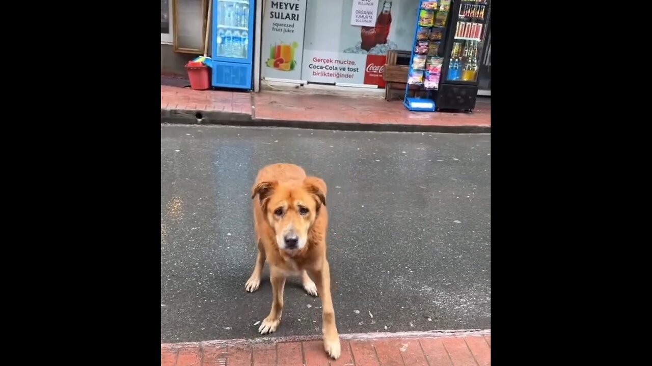 I want to believe that there are such people