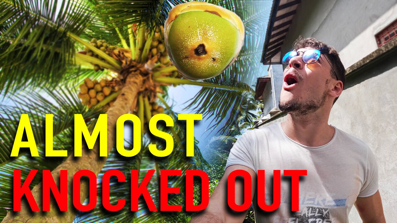 I ALMOST Got KNOCKED OUT By A COCONUT!