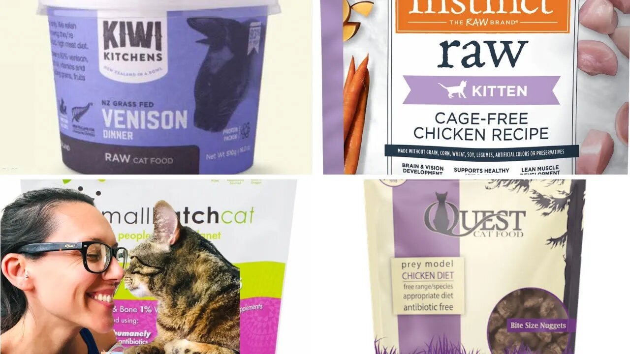 Best frozen raw kitten food - Jess Caticles