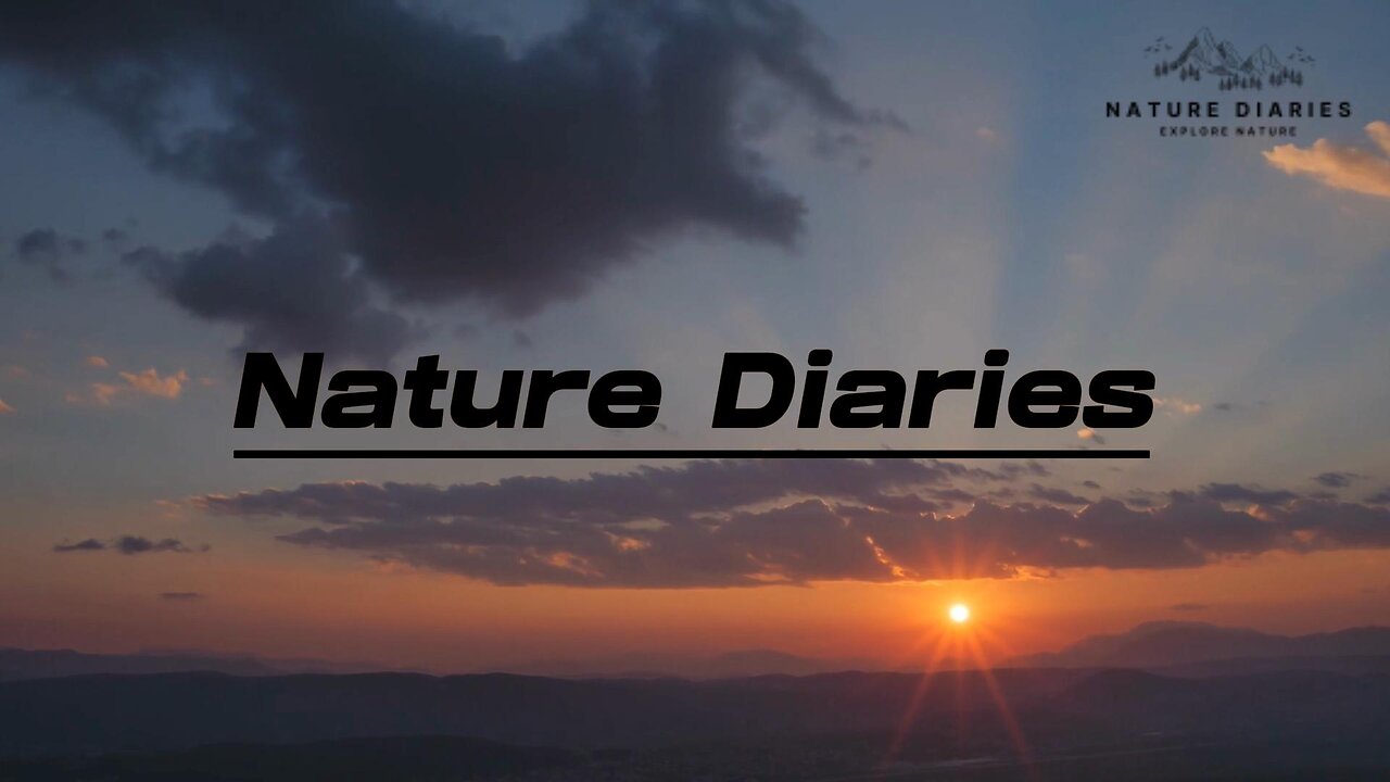 Nature Diaries | sunset | Relaxation Music