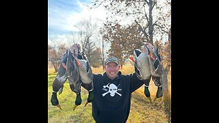 Duck Hunting the Slough