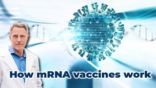 How mRNA vaccines work?