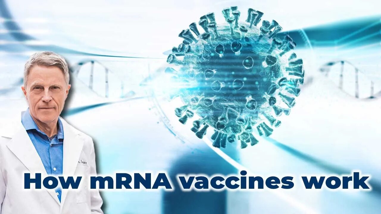 How mRNA vaccines work?