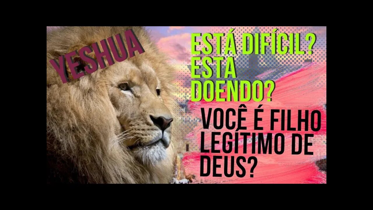 Descubra se você é filho de Deus!