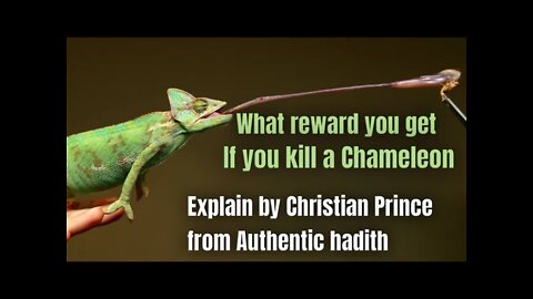 Christian Prince explain what you get if you k$ll chameleon..