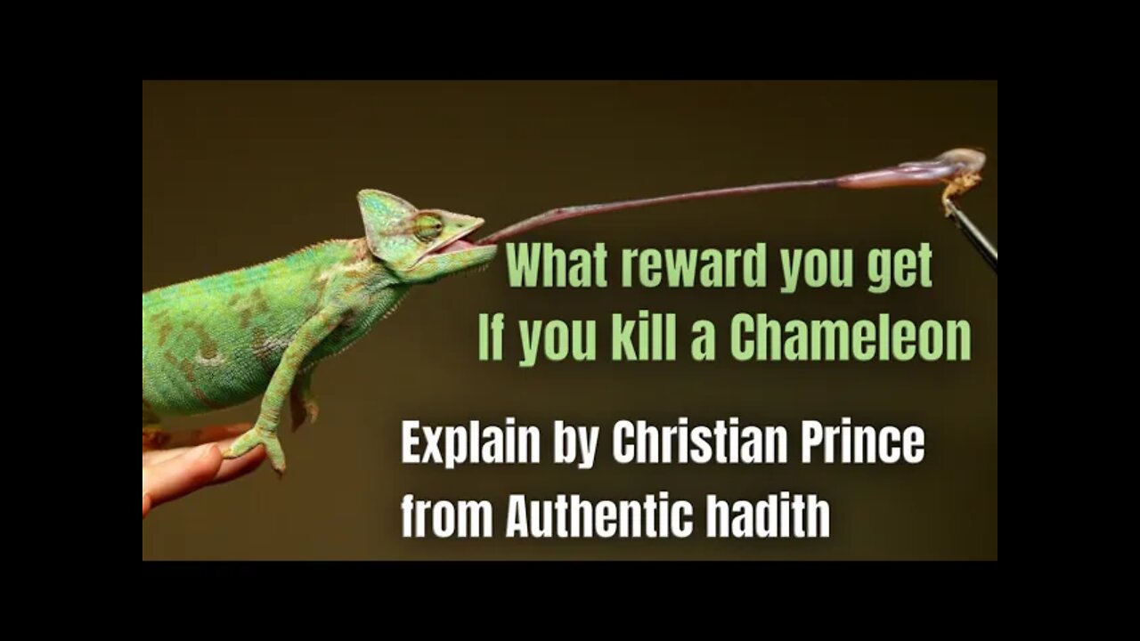 Christian Prince explain what you get if you k$ll chameleon..