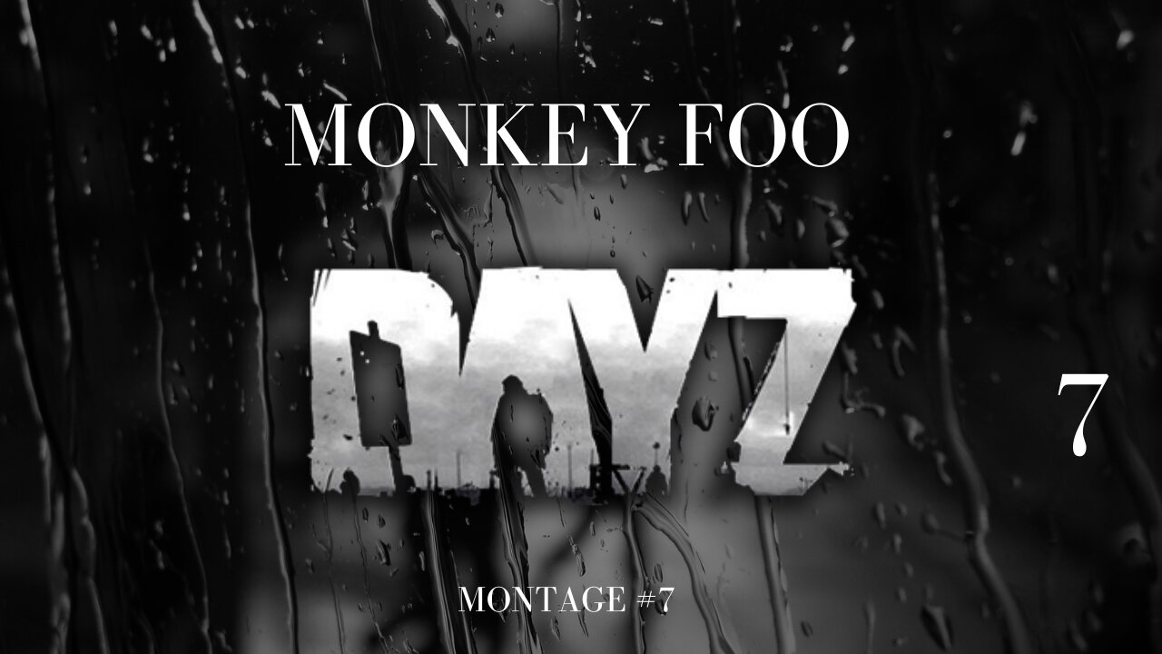 DAYZ Montage Number 7