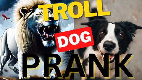 Troll Prank Dog Funny & fake Lion and Fake Tiger Prank To dog & Huge Box Prank to dog