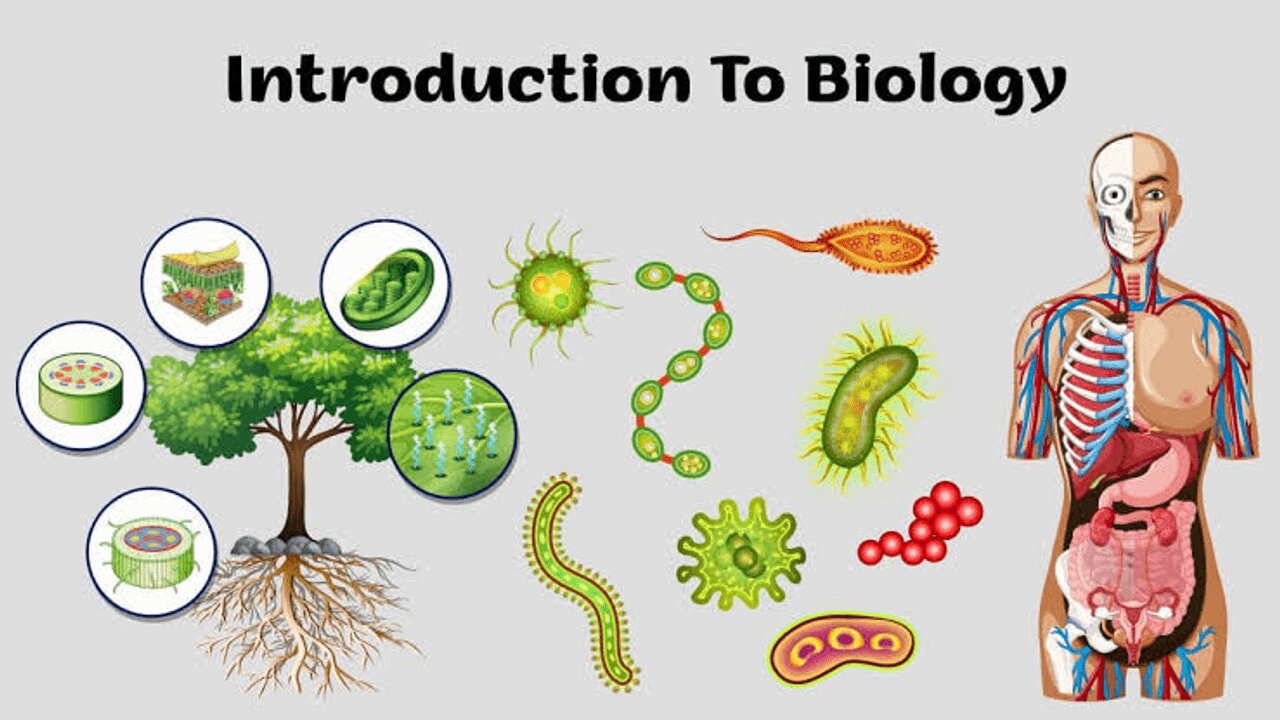 Unlocking the Mysteries of Life: An Engaging Introduction to Biology