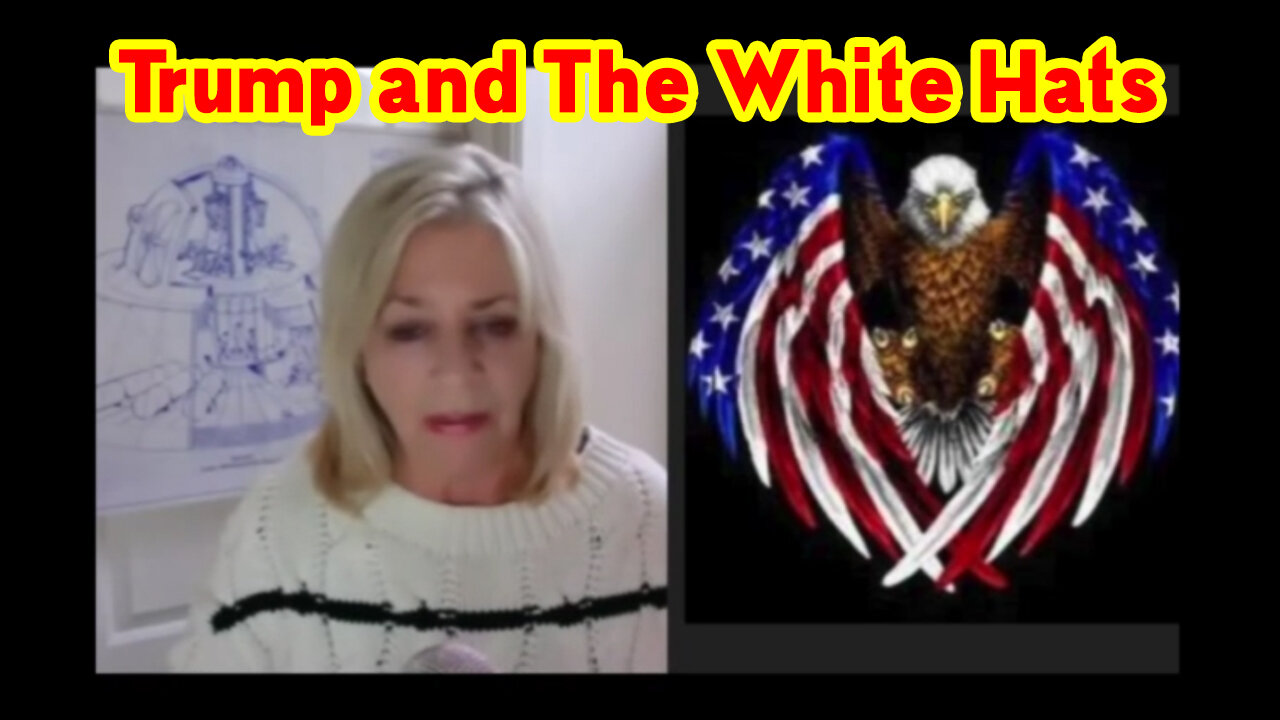 Kerry Cassidy & Patriot Underground "Trump and The White Hats"