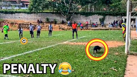 SITUATION WHIT 0.0004% CHANCE 🐶🤣