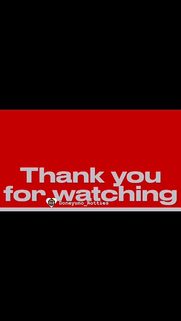 DUR KENNEL LIFE WITH OUR ROTTWEILER PUP