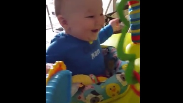 Toddler Finds Playful Dog Simply Hilarious