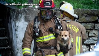 Covington photographer pays tribute to firefighters