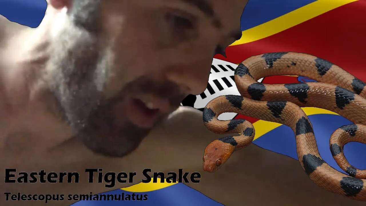 I caught a venomous snake in Swaziland!