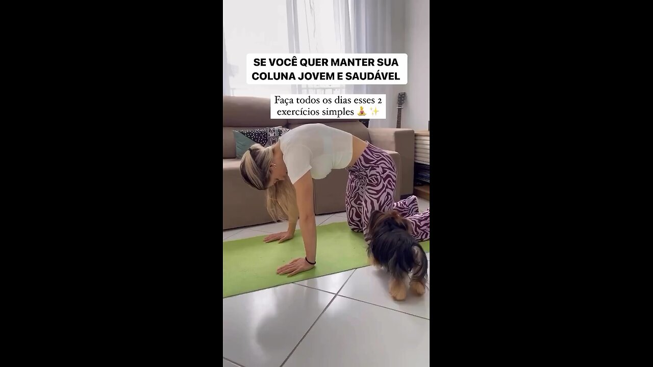 Treino coluna Br