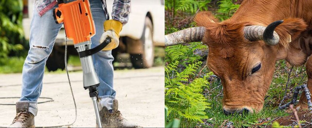 Etes-vous “marteau-piqueur” ou “brouteur” ?