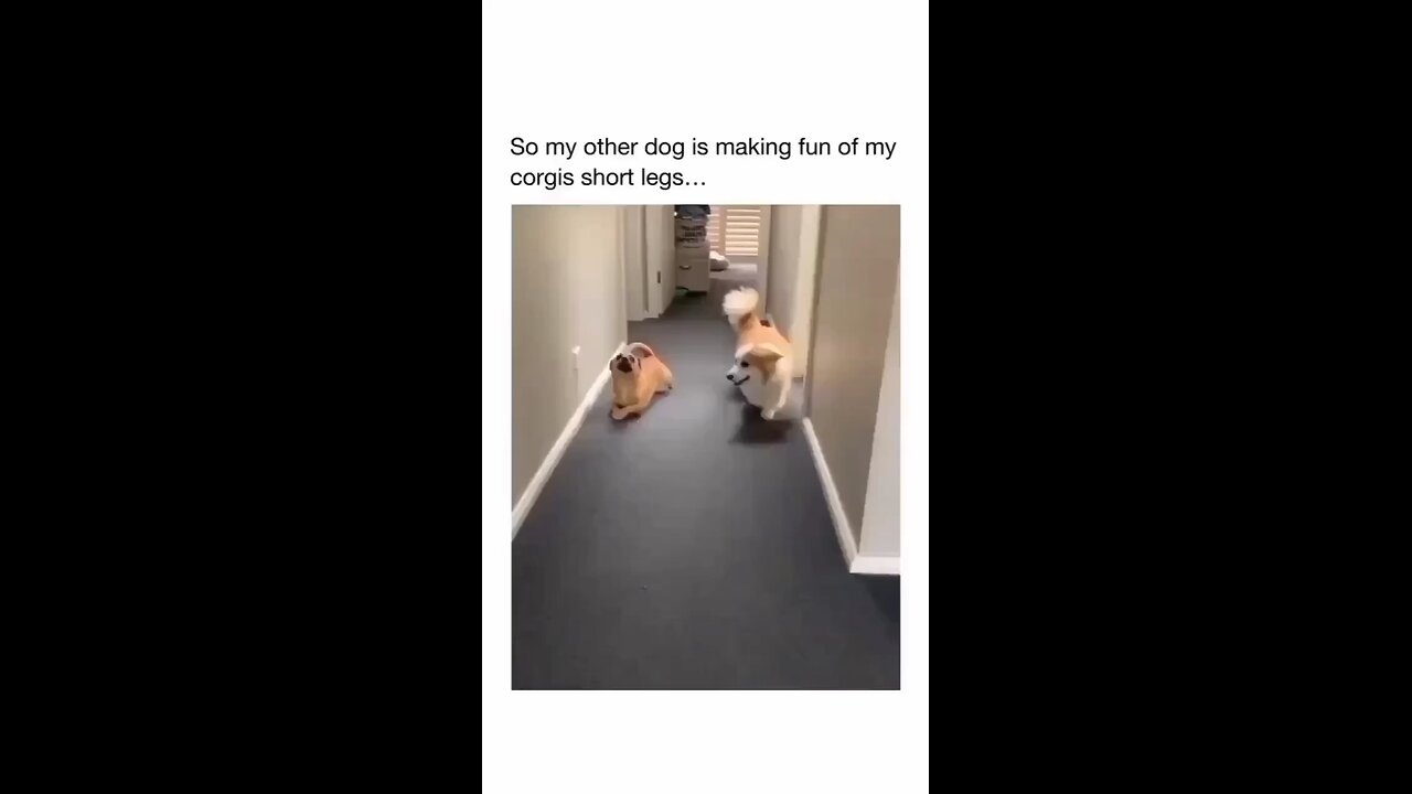 Send this to dig lover