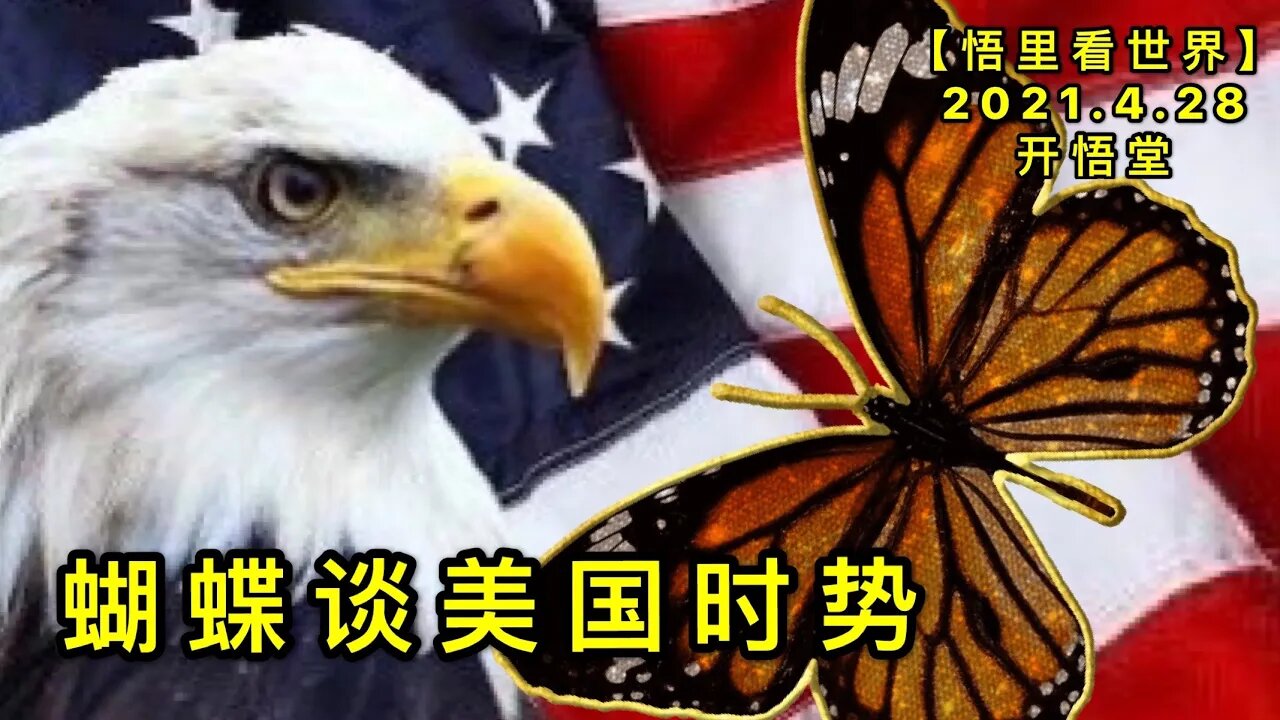 KWT1606蝴蝶谈美国时势20210428-9【悟里看世界】